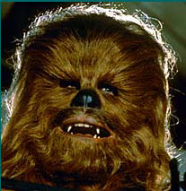 chewie.jpg (19308 bytes)