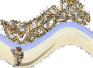 swlogo.jpg (24177 bytes)